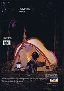 2000 Rei Pup Tent Pointer Dog Bear Visa Print Ad