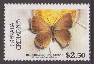 Grenada Grenadines 1985 SG 686A Strymon rufofusca butterfly [MNH]