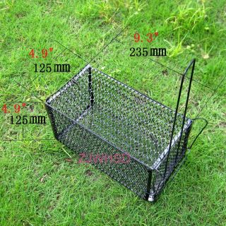 Collapsible Animal Humane Live Trap Cage   Mouse Mice Rat Squirrel