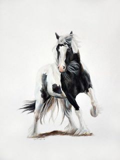Kesali   (Forest Spirit) Gypsy Vanner ~ Gypsy Cob ~ Gypsy Horse