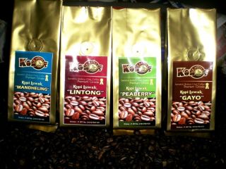 Authentic Wild Civet Coffee Kopi Luwak Arabica Sumatra Indonesia