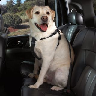 Companion Dog Car Harness Pet Seatbelt Safety Restraint Dogs Harnesses