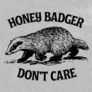 Honey Badger Dont Care MEME you tube Crazy T Shirt