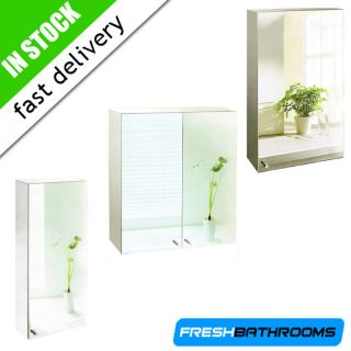 304 Stainless Steel Large Wall Mirror Bathroom Cabinet