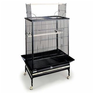 metal parrot cage
