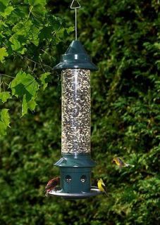 Squirrel & Large Bird Proof Feeder Cardinal Songbirds Large 3Qt Seed