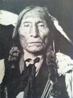 The Cheyennes Indians of the Great Plains,Native American,vinta ge