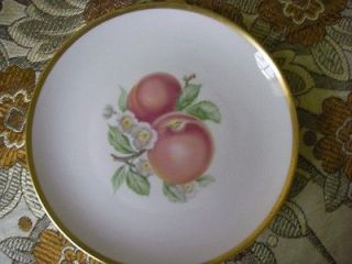 HUTSCHENREUTHE R SELB SALAD PLATE WHITE W/ FRUIT/GOLD TRIM BAVARIA