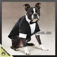 20 SUIT TUXEDO WEDDING Costume Clothing Dog Cat Pet Groom Bow Tie