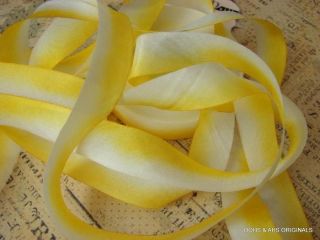 Hanah Silk Ribbon~Daisy Mae Hand Dyed 5 yards lovely