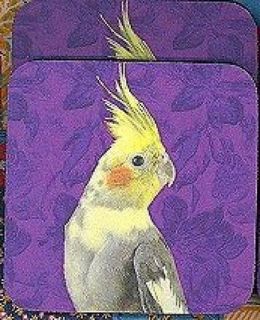 Newly listed COCKATIEL Stunning Rubber Backed Coasters #0301