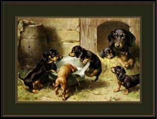 Vintage English Print Dachshund Dog Puppies Art Picture