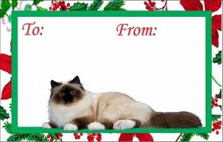 12 Birman Kitten or Cat Christmas Gift Tags
