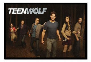 Teen Wolf Large Framed Cork Pin Memo Notice Board Chioce Of Colours