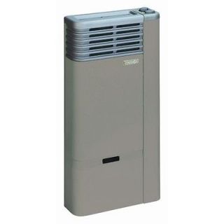 direct vent heater