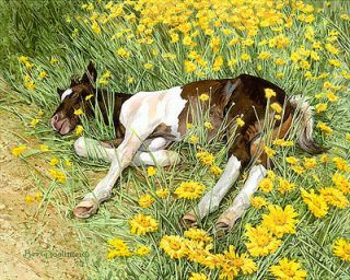 Bev Doolittle SPRING BREAK giclee, Pinto Foal, Horse A/P#141/160
