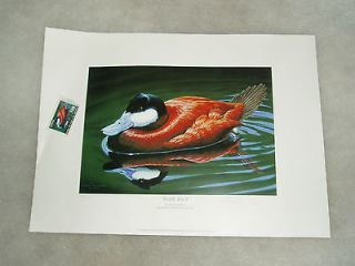 Print, Neal Anderson, Ducks Unlimited, Ruddy Ducks, Print & Stamps
