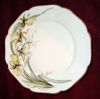 1888 1896 HAVILAND & CO 8 1/2 Plate with YELLOW FLOWERS and Gold Trim