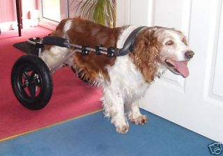 Wheels for Dogs Dog Wheelchair UK Made