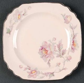 American Atelier, Scallop Pink