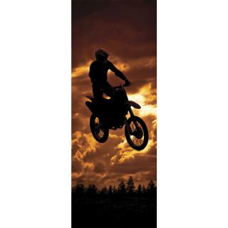 Ideal Decor Jump At Dusk Wall Mural (SmallSubject LandscapesImage dimensions 96 inches x 36 inchesOutside dimensions 96 inches x 36 inches )