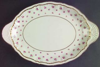 Haviland Wilton 14 Oval Serving Platter, Fine China Dinnerware   New York,Pink