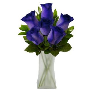 Purple Tinted Rose with Vase   6 Stems