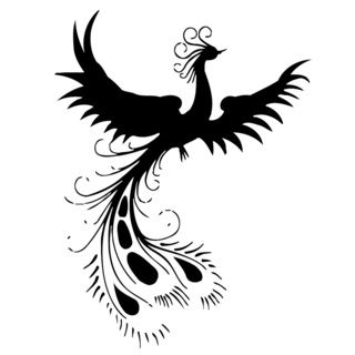 Peacock Bird Vinyl Wall Art Decal (BlackDimensions: 22 inches wide x 35 inches long )