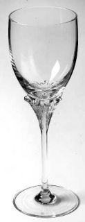 Spiegelau Fontaine Clear Water Goblet   Clear