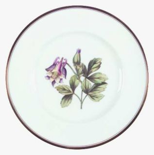 Royal Worcester Williamson Flower Luncheon Plate, Fine China Dinnerware   Variou