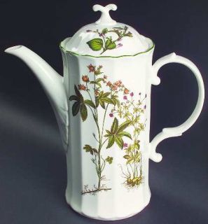 Mikasa Botany Coffee Pot & Lid, Fine China Dinnerware   Ultra Ceram,Various Flow