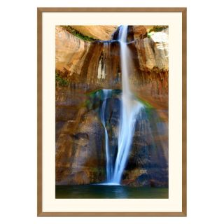 J and S Framing LLC Lower Calf Creek Falls Framed Wall Art   25.04W x 35.04H 