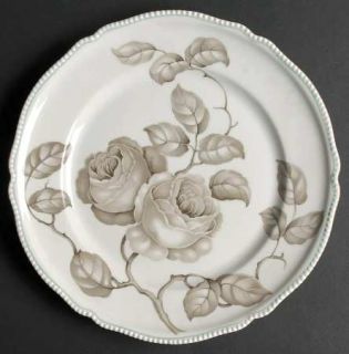 Rosenthal   Continental Gloria Luncheon Plate, Fine China Dinnerware   Pearl Edg