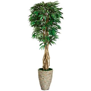 Laura Ashley 92 Tall Willow Ficus With Multiple Trunks In 16 Fiberstone Planter